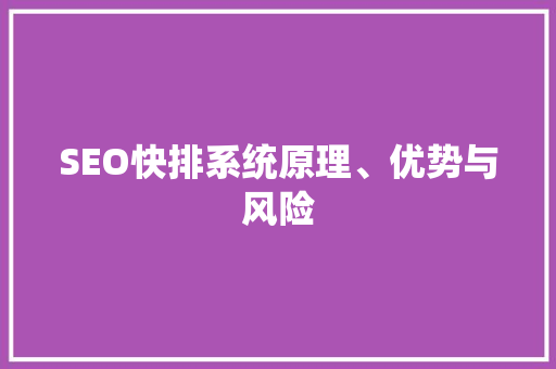 SEO快排系统原理、优势与风险 百度SEO