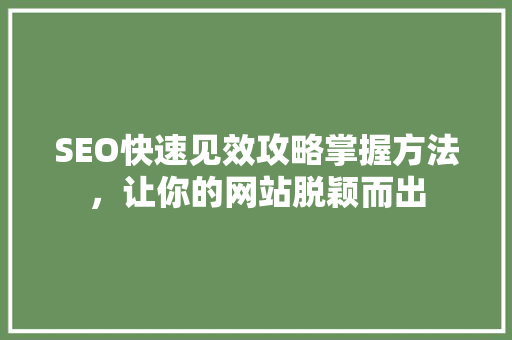 SEO快速见效攻略掌握方法，让你的网站脱颖而出 SEO关键词