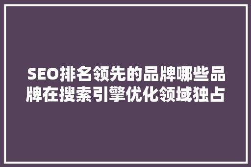 SEO排名领先的品牌哪些品牌在搜索引擎优化领域独占鳌头 百度SEO