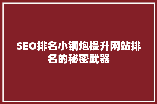 SEO排名小钢炮提升网站排名的秘密武器 必应SEO