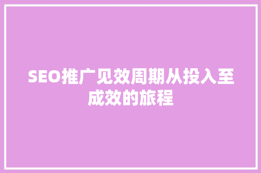 SEO推广见效周期从投入至成效的旅程 必应SEO
