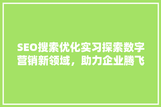 SEO搜索优化实习探索数字营销新领域，助力企业腾飞 必应SEO