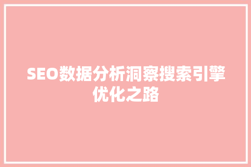 SEO数据分析洞察搜索引擎优化之路 SEO关键词