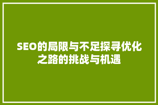SEO的局限与不足探寻优化之路的挑战与机遇 网站建设公司