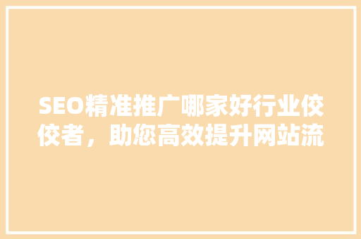 SEO精准推广哪家好行业佼佼者，助您高效提升网站流量