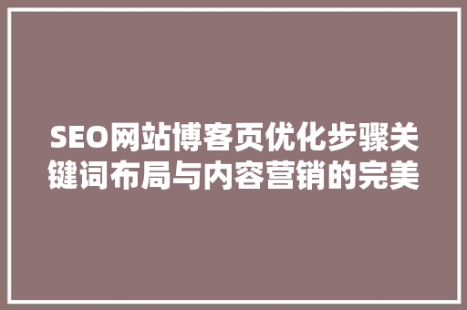 SEO网站博客页优化步骤关键词布局与内容营销的完美结合 神马SEO