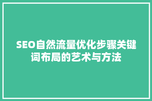 SEO自然流量优化步骤关键词布局的艺术与方法 百度SEO