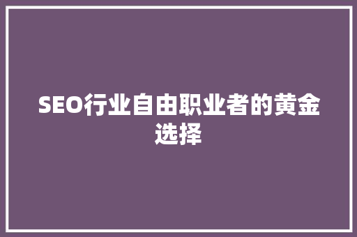 SEO行业自由职业者的黄金选择 网站建设公司