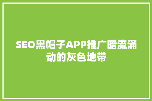 SEO黑帽子APP推广暗流涌动的灰色地带 网站建设公司