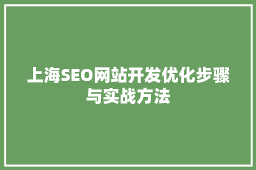 上海SEO网站开发优化步骤与实战方法 SEO关键词