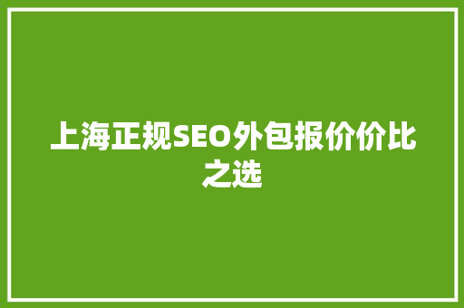 上海正规SEO外包报价价比之选