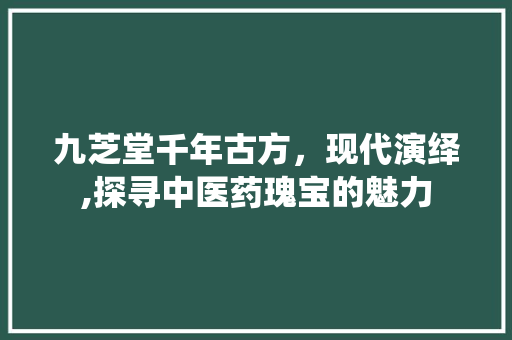 九芝堂千年古方，现代演绎,探寻中医药瑰宝的魅力 SEO关键词