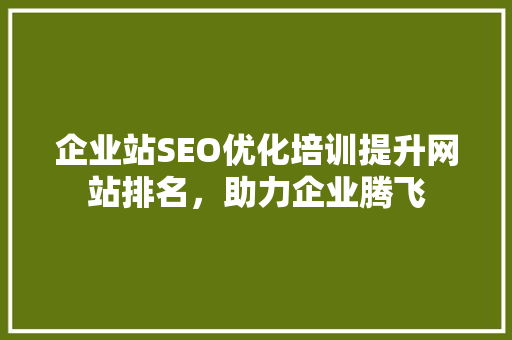 企业站SEO优化培训提升网站排名，助力企业腾飞 神马SEO