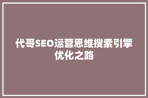 代哥SEO运营思维搜索引擎优化之路
