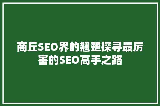 商丘SEO界的翘楚探寻最厉害的SEO高手之路 必应SEO