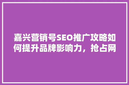 嘉兴营销号SEO推广攻略如何提升品牌影响力，抢占网络市场先机 SEO关键词