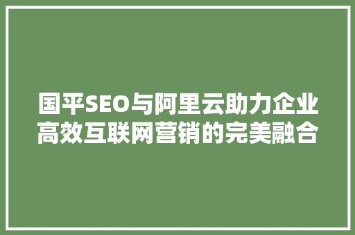 国平SEO与阿里云助力企业高效互联网营销的完美融合