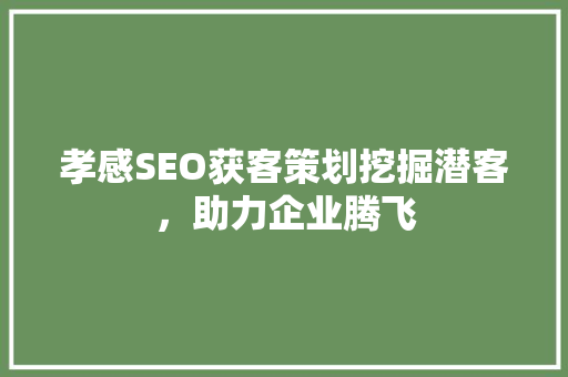 孝感SEO获客策划挖掘潜客，助力企业腾飞 神马SEO