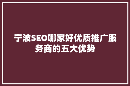 宁波SEO哪家好优质推广服务商的五大优势 网站建设公司