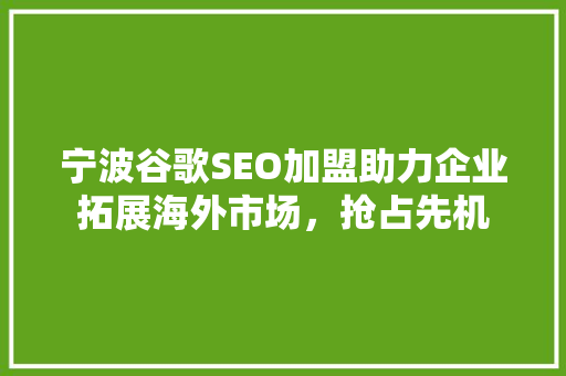 宁波谷歌SEO加盟助力企业拓展海外市场，抢占先机 必应SEO