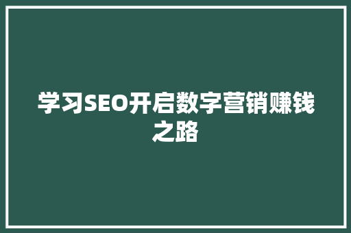 学习SEO开启数字营销赚钱之路 百度SEO