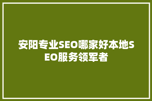 安阳专业SEO哪家好本地SEO服务领军者 SEO关键词
