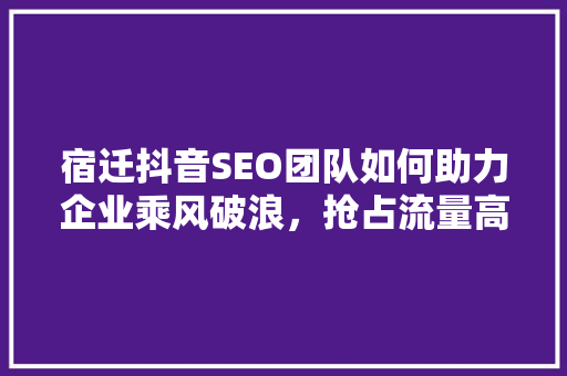 宿迁抖音SEO团队如何助力企业乘风破浪，抢占流量高地 必应SEO