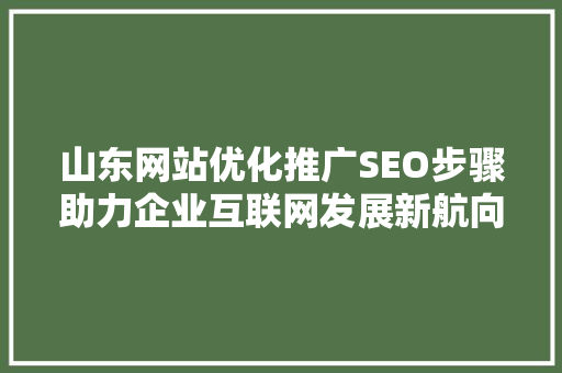 山东网站优化推广SEO步骤助力企业互联网发展新航向 必应SEO