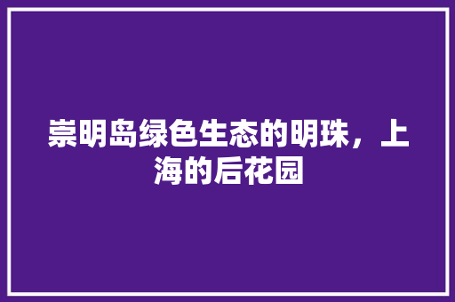崇明岛绿色生态的明珠，上海的后花园 必应SEO