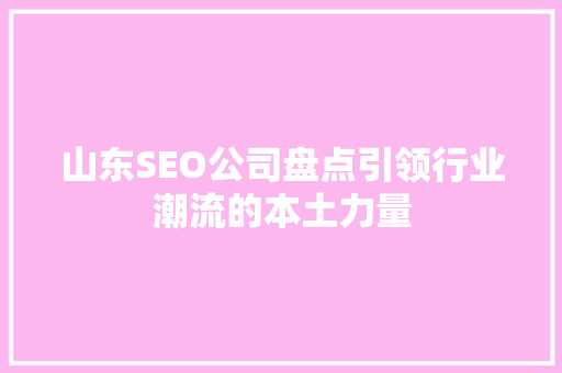 山东SEO公司盘点引领行业潮流的本土力量 神马SEO