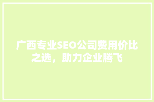 广西专业SEO公司费用价比之选，助力企业腾飞