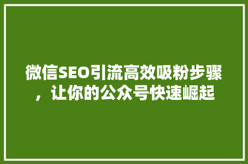 微信SEO引流高效吸粉步骤，让你的公众号快速崛起 必应SEO