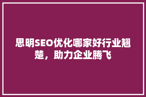 思明SEO优化哪家好行业翘楚，助力企业腾飞 必应SEO