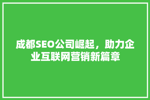 成都SEO公司崛起，助力企业互联网营销新篇章 SEO关键词