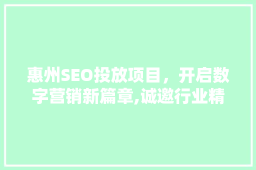 惠州SEO投放项目，开启数字营销新篇章,诚邀行业精英加盟