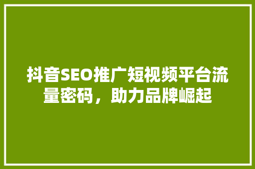 抖音SEO推广短视频平台流量密码，助力品牌崛起 网站建设公司