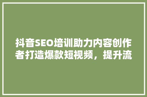抖音SEO培训助力内容创作者打造爆款短视频，提升流量与影响力 网站建设公司