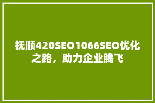 抚顺420SEO1066SEO优化之路，助力企业腾飞 搜狗SEO