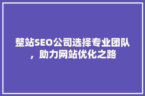 整站SEO公司选择专业团队，助力网站优化之路