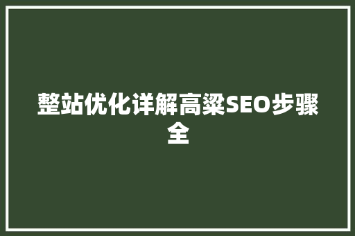 整站优化详解高粱SEO步骤全 网站建设公司