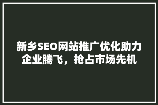 新乡SEO网站推广优化助力企业腾飞，抢占市场先机 网站建设公司