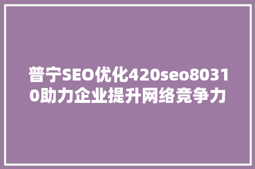 普宁SEO优化420seo80310助力企业提升网络竞争力 百度SEO