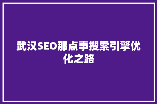 武汉SEO那点事搜索引擎优化之路
