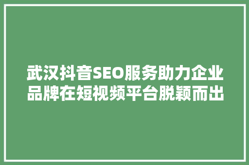 武汉抖音SEO服务助力企业品牌在短视频平台脱颖而出 必应SEO