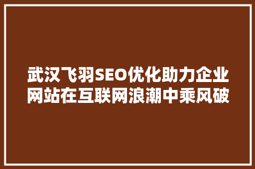 武汉飞羽SEO优化助力企业网站在互联网浪潮中乘风破浪 网站建设公司