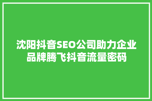 沈阳抖音SEO公司助力企业品牌腾飞抖音流量密码 网站建设公司