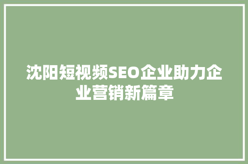 沈阳短视频SEO企业助力企业营销新篇章 SEO关键词