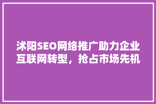 沭阳SEO网络推广助力企业互联网转型，抢占市场先机 神马SEO
