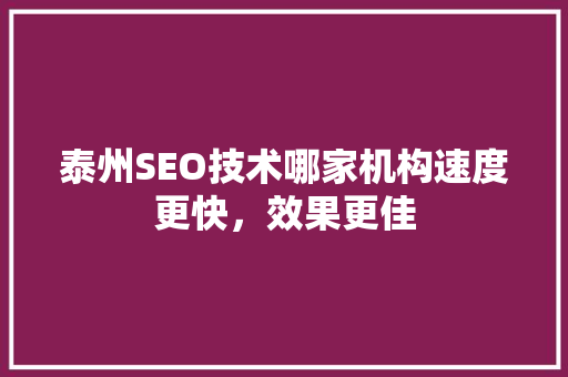 泰州SEO技术哪家机构速度更快，效果更佳 SEO关键词