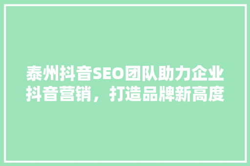 泰州抖音SEO团队助力企业抖音营销，打造品牌新高度 网站建设公司
